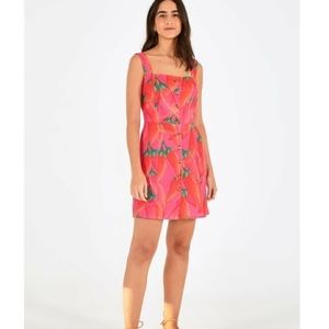 Farm Rio Red Pepper Dress